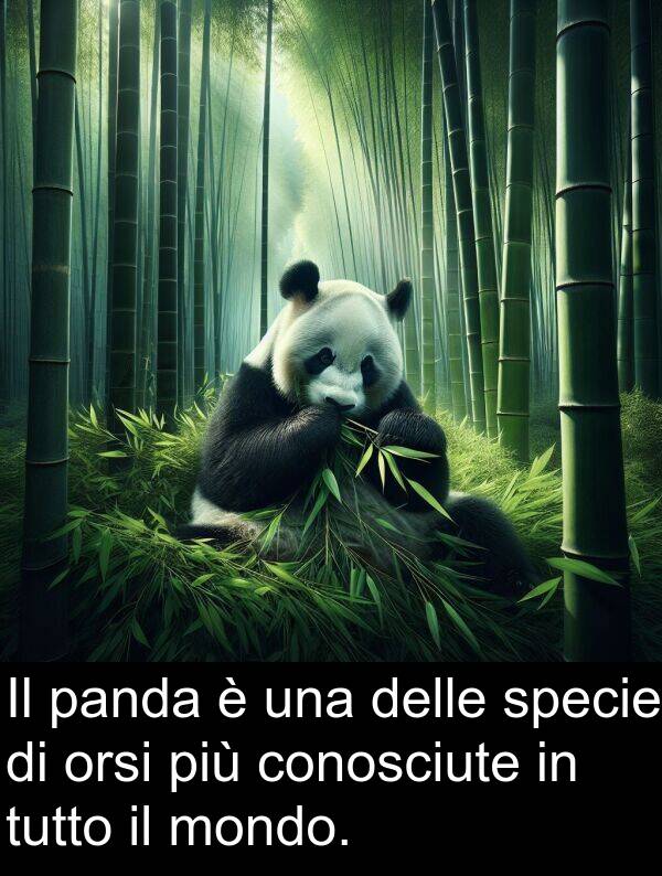specie: Il panda è una delle specie di orsi più conosciute in tutto il mondo.