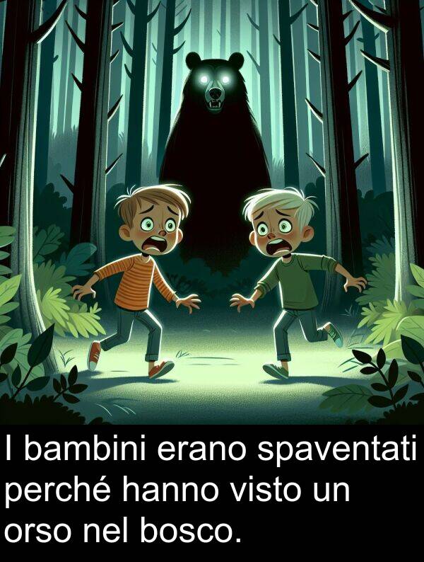bosco: I bambini erano spaventati perché hanno visto un orso nel bosco.