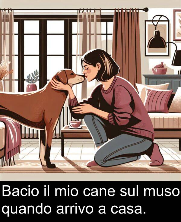 cane: Bacio il mio cane sul muso quando arrivo a casa.