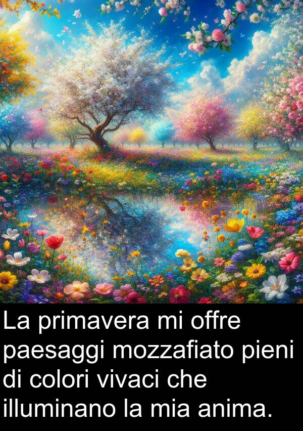 colori: La primavera mi offre paesaggi mozzafiato pieni di colori vivaci che illuminano la mia anima.