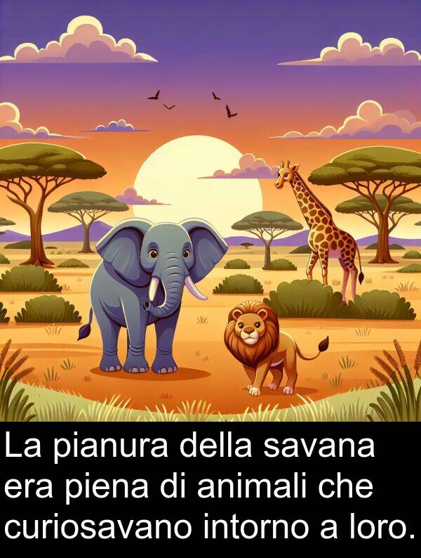 pianura: La pianura della savana era piena di animali che curiosavano intorno a loro.