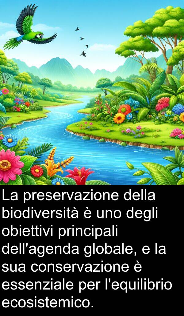 ecosistemico: La preservazione della biodiversità è uno degli obiettivi principali dell'agenda globale, e la sua conservazione è essenziale per l'equilibrio ecosistemico.