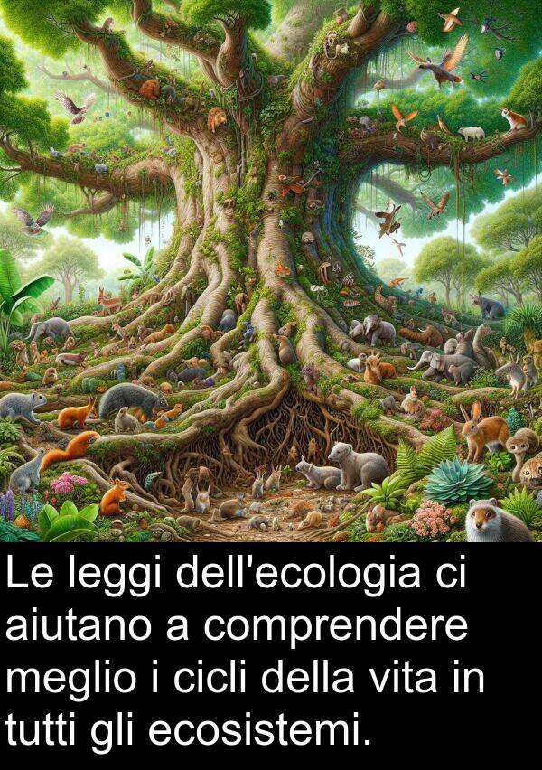 aiutano: Le leggi dell'ecologia ci aiutano a comprendere meglio i cicli della vita in tutti gli ecosistemi.
