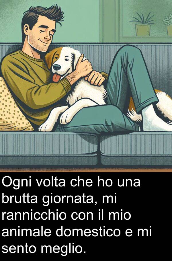 rannicchio: Ogni volta che ho una brutta giornata, mi rannicchio con il mio animale domestico e mi sento meglio.