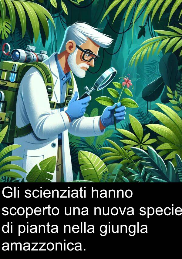 amazzonica: Gli scienziati hanno scoperto una nuova specie di pianta nella giungla amazzonica.