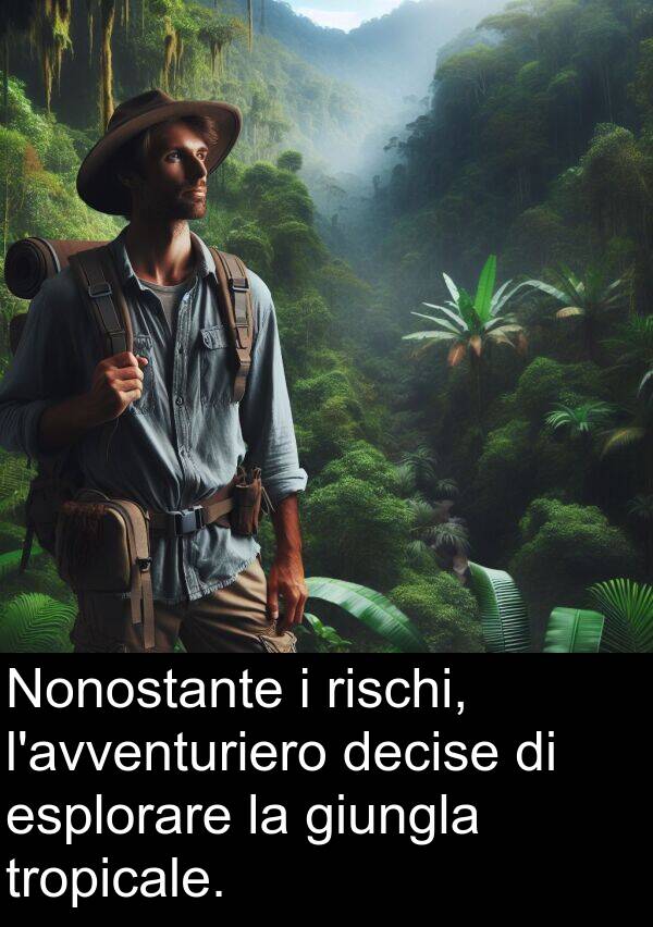 rischi: Nonostante i rischi, l'avventuriero decise di esplorare la giungla tropicale.