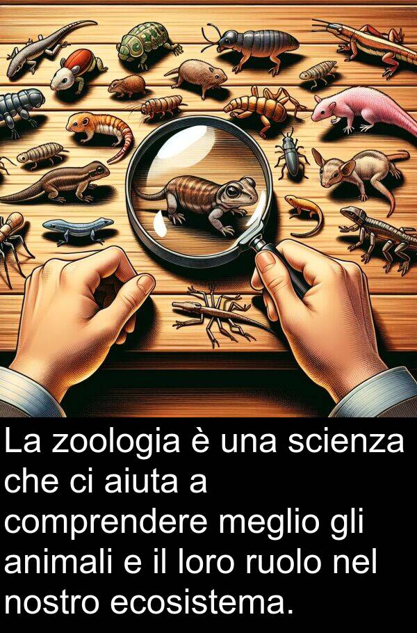 ruolo: La zoologia è una scienza che ci aiuta a comprendere meglio gli animali e il loro ruolo nel nostro ecosistema.