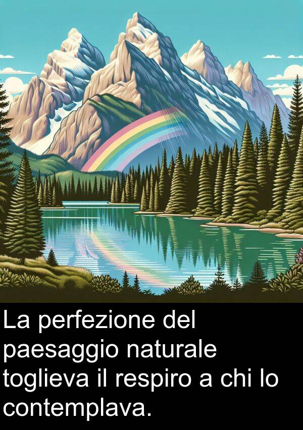 toglieva: La perfezione del paesaggio naturale toglieva il respiro a chi lo contemplava.
