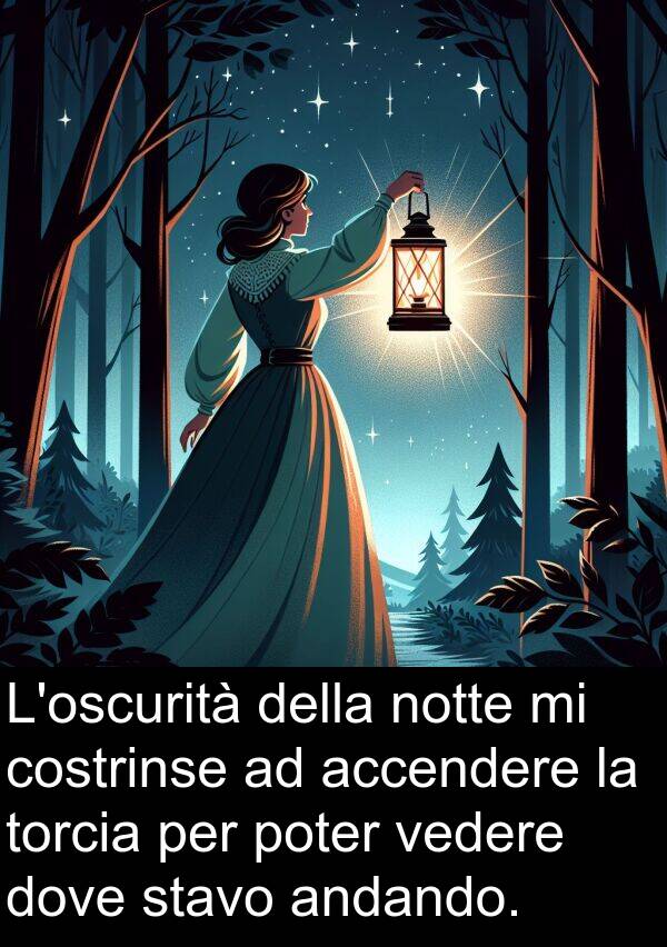vedere: L'oscurità della notte mi costrinse ad accendere la torcia per poter vedere dove stavo andando.