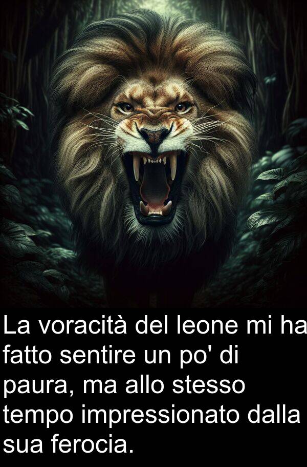 ferocia: La voracità del leone mi ha fatto sentire un po' di paura, ma allo stesso tempo impressionato dalla sua ferocia.