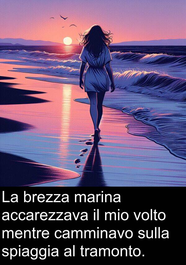 accarezzava: La brezza marina accarezzava il mio volto mentre camminavo sulla spiaggia al tramonto.