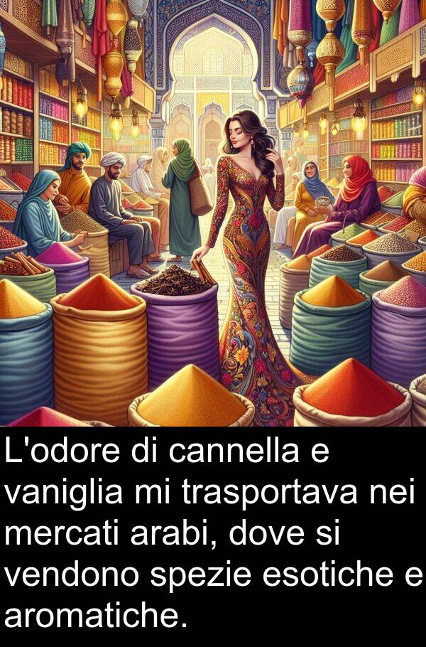 vaniglia: L'odore di cannella e vaniglia mi trasportava nei mercati arabi, dove si vendono spezie esotiche e aromatiche.