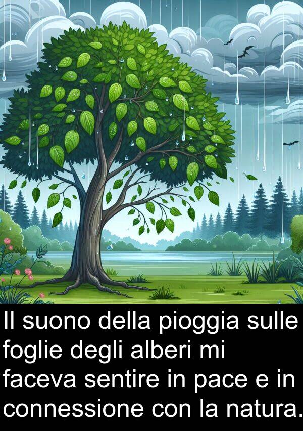 faceva: Il suono della pioggia sulle foglie degli alberi mi faceva sentire in pace e in connessione con la natura.