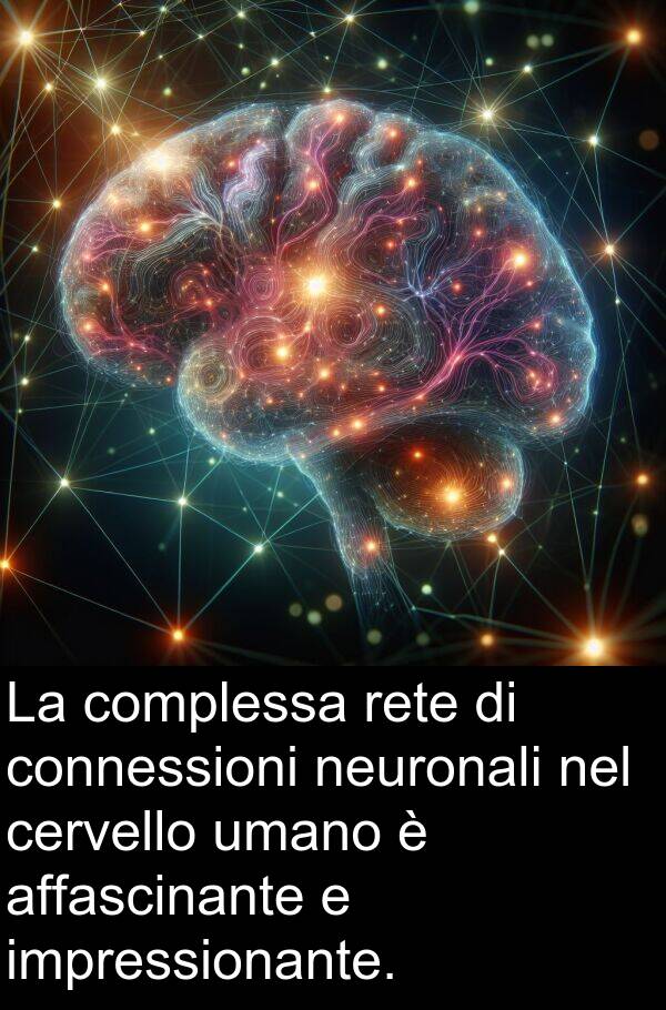 umano: La complessa rete di connessioni neuronali nel cervello umano è affascinante e impressionante.
