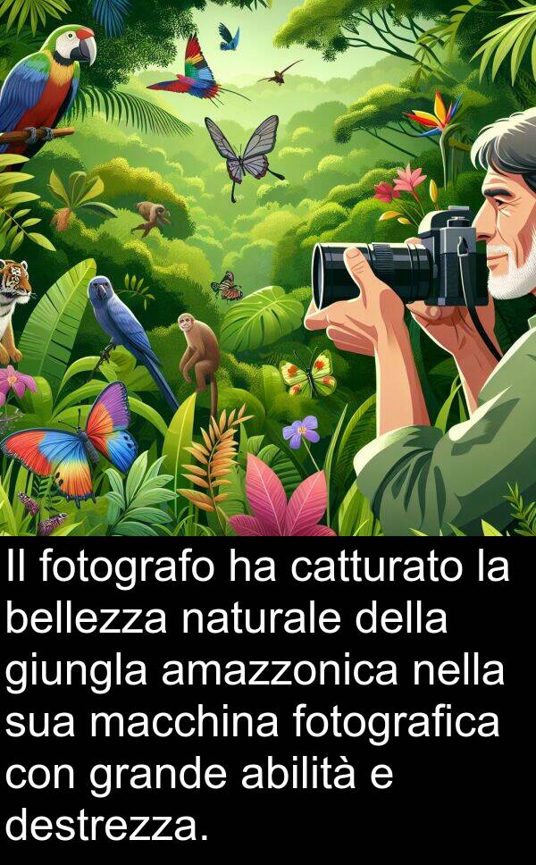 amazzonica: Il fotografo ha catturato la bellezza naturale della giungla amazzonica nella sua macchina fotografica con grande abilità e destrezza.
