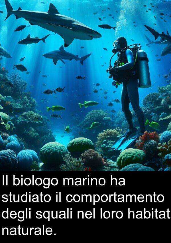 squali: Il biologo marino ha studiato il comportamento degli squali nel loro habitat naturale.
