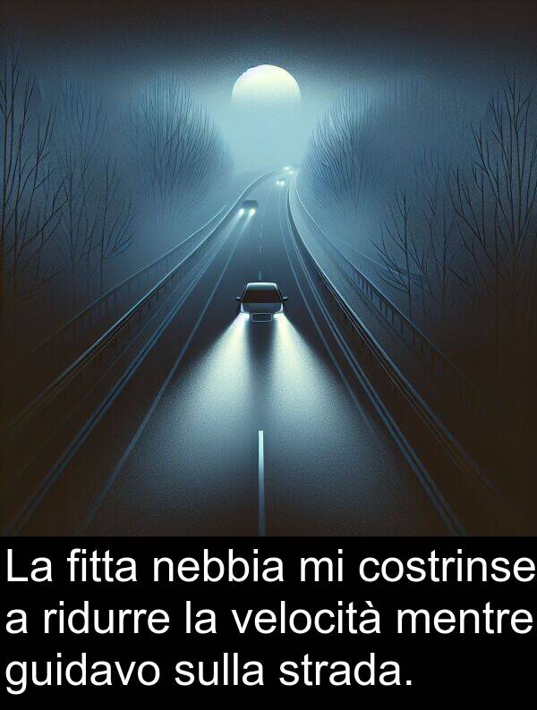 strada: La fitta nebbia mi costrinse a ridurre la velocità mentre guidavo sulla strada.