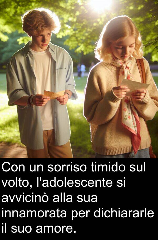 volto: Con un sorriso timido sul volto, l'adolescente si avvicinò alla sua innamorata per dichiararle il suo amore.