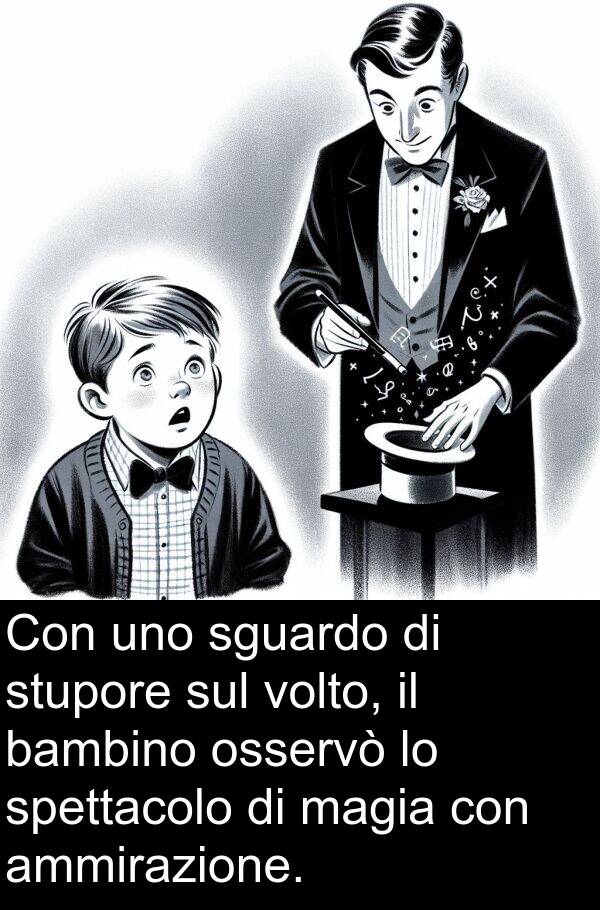 volto: Con uno sguardo di stupore sul volto, il bambino osservò lo spettacolo di magia con ammirazione.