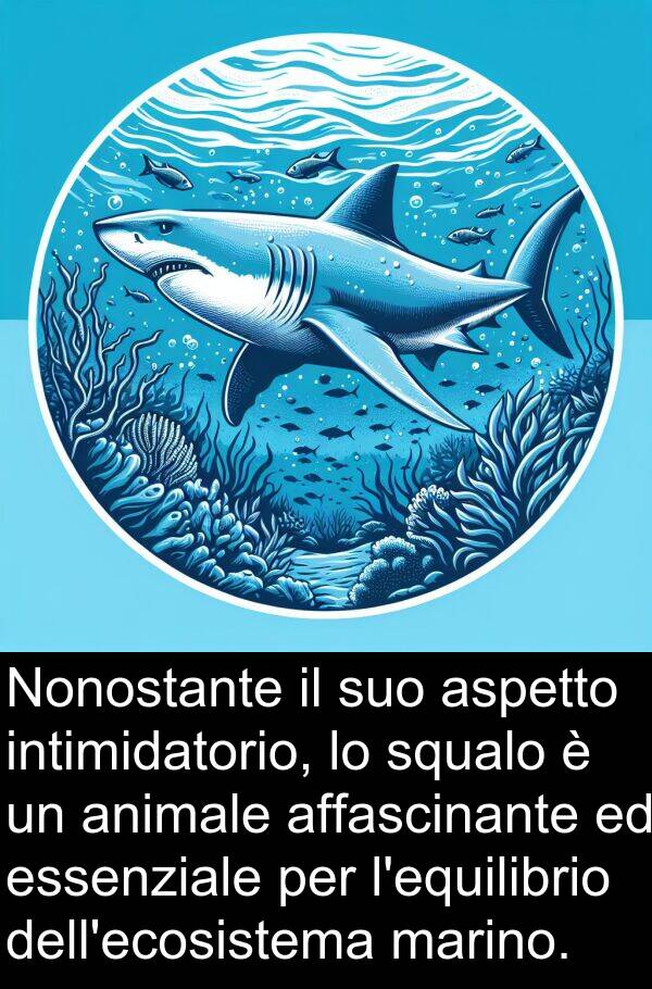 squalo: Nonostante il suo aspetto intimidatorio, lo squalo è un animale affascinante ed essenziale per l'equilibrio dell'ecosistema marino.