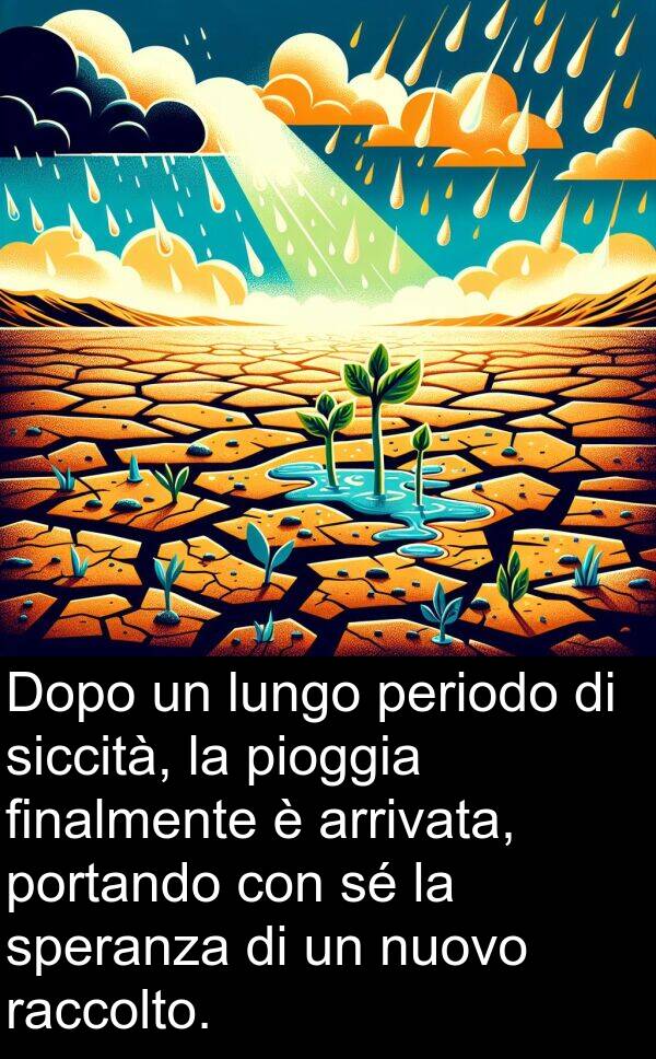 periodo: Dopo un lungo periodo di siccità, la pioggia finalmente è arrivata, portando con sé la speranza di un nuovo raccolto.