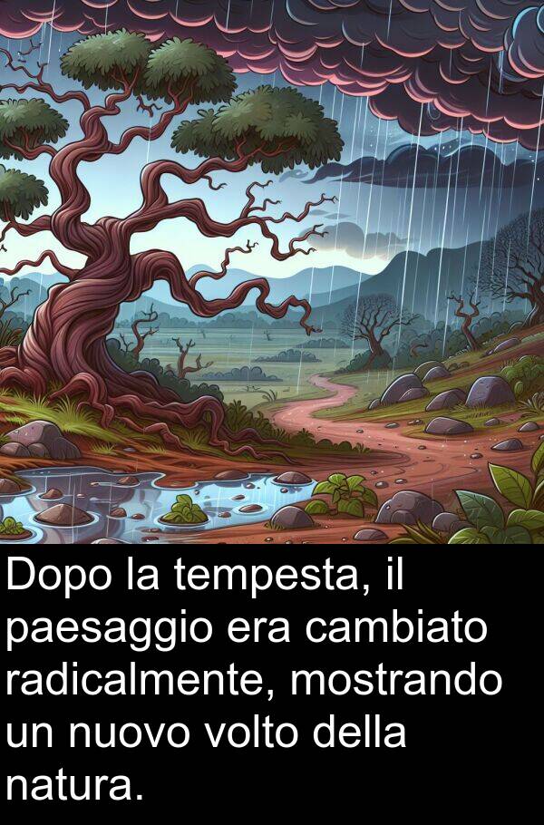 cambiato: Dopo la tempesta, il paesaggio era cambiato radicalmente, mostrando un nuovo volto della natura.