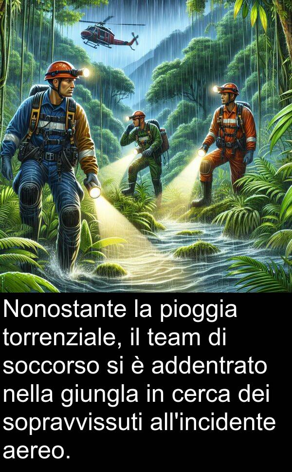 cerca: Nonostante la pioggia torrenziale, il team di soccorso si è addentrato nella giungla in cerca dei sopravvissuti all'incidente aereo.