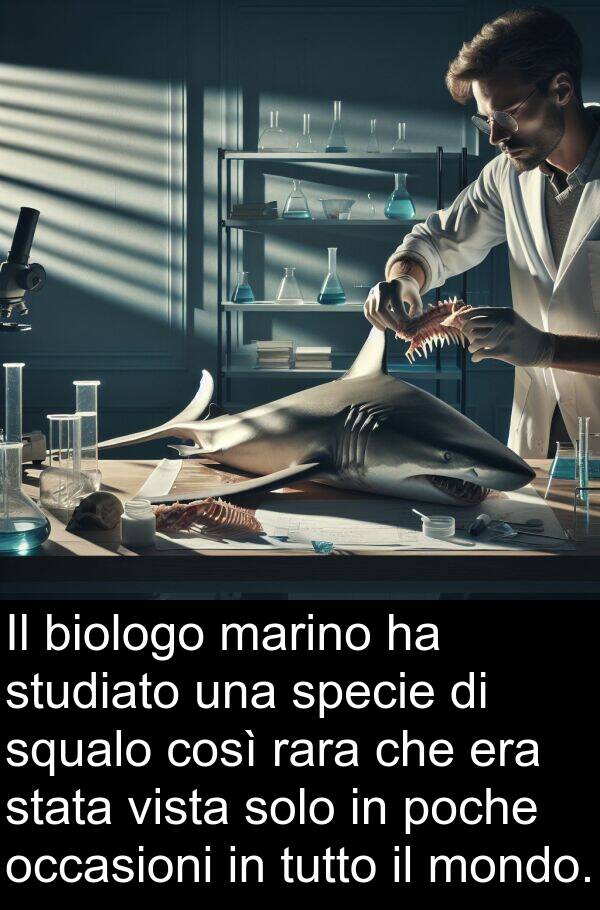 occasioni: Il biologo marino ha studiato una specie di squalo così rara che era stata vista solo in poche occasioni in tutto il mondo.