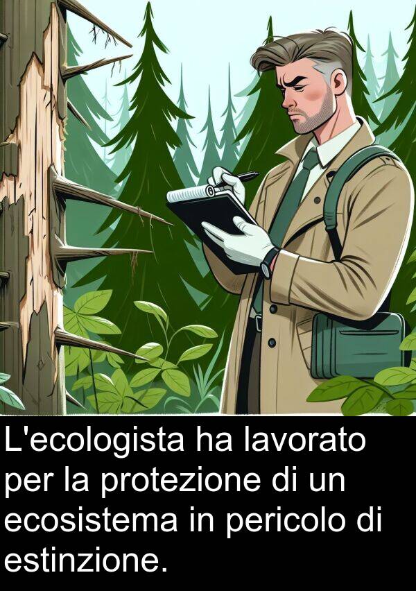 ecosistema: L'ecologista ha lavorato per la protezione di un ecosistema in pericolo di estinzione.