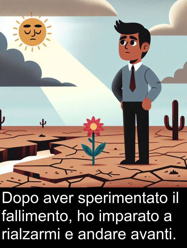 fallimento: Dopo aver sperimentato il fallimento, ho imparato a rialzarmi e andare avanti.