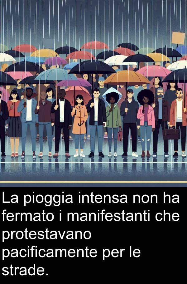 strade: La pioggia intensa non ha fermato i manifestanti che protestavano pacificamente per le strade.