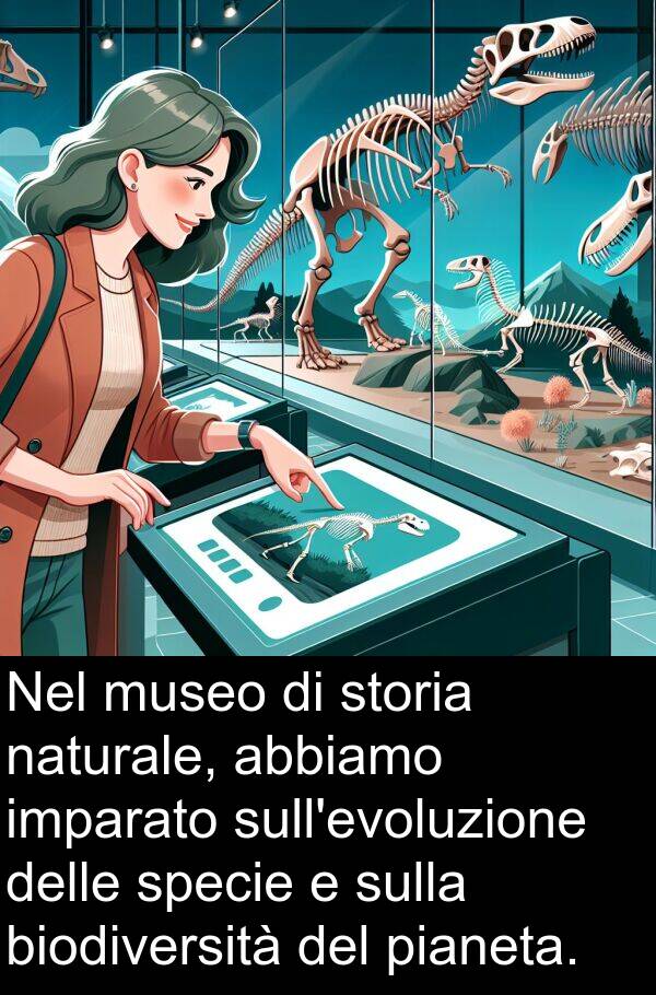 pianeta: Nel museo di storia naturale, abbiamo imparato sull'evoluzione delle specie e sulla biodiversità del pianeta.