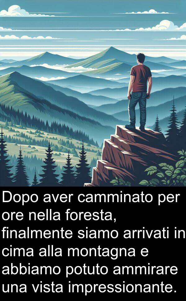 potuto: Dopo aver camminato per ore nella foresta, finalmente siamo arrivati in cima alla montagna e abbiamo potuto ammirare una vista impressionante.
