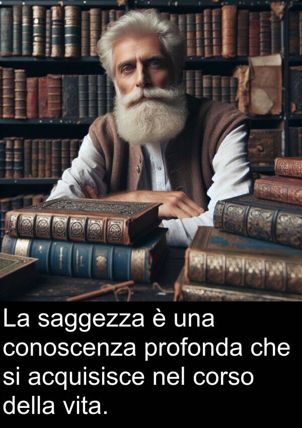 conoscenza: La saggezza è una conoscenza profonda che si acquisisce nel corso della vita.
