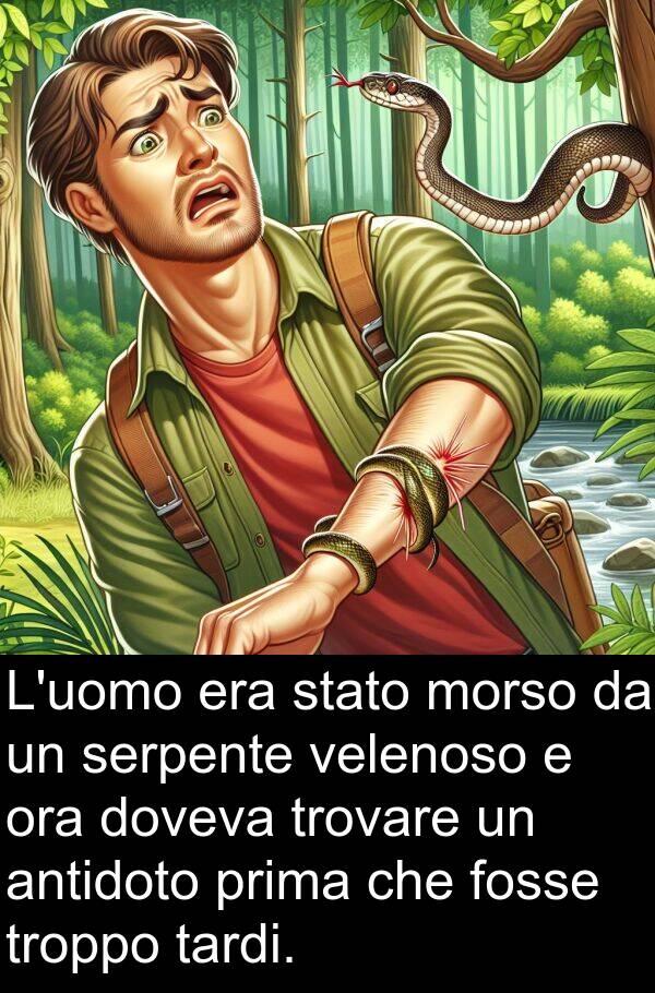 tardi: L'uomo era stato morso da un serpente velenoso e ora doveva trovare un antidoto prima che fosse troppo tardi.