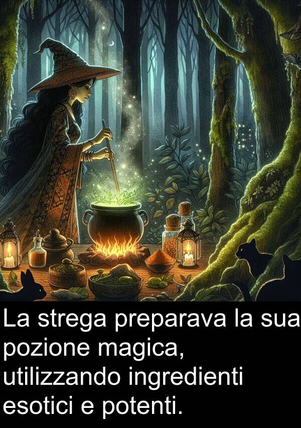 pozione: La strega preparava la sua pozione magica, utilizzando ingredienti esotici e potenti.