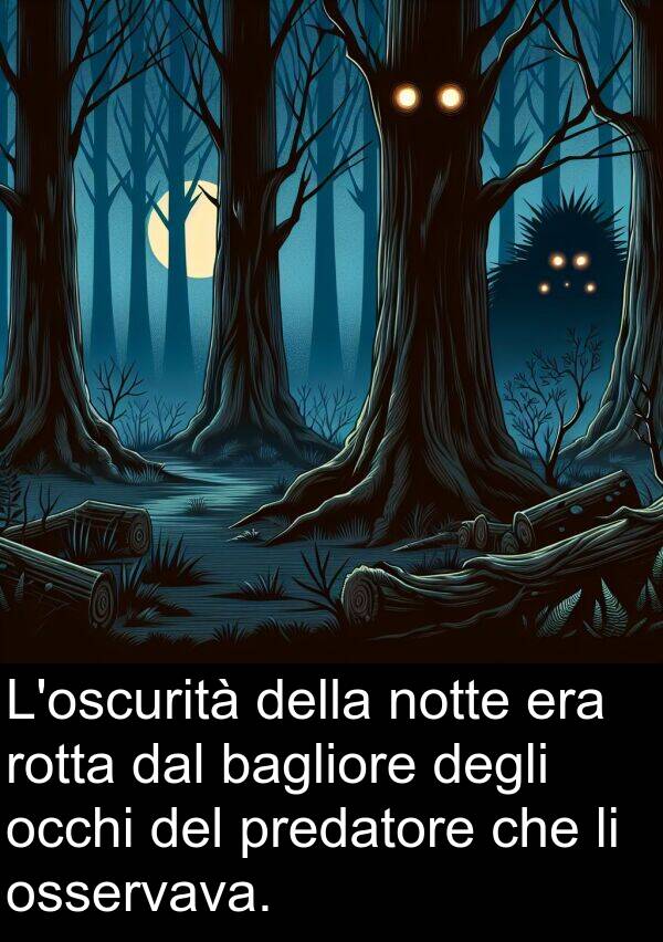 bagliore: L'oscurità della notte era rotta dal bagliore degli occhi del predatore che li osservava.
