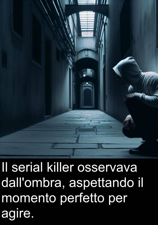 agire: Il serial killer osservava dall'ombra, aspettando il momento perfetto per agire.