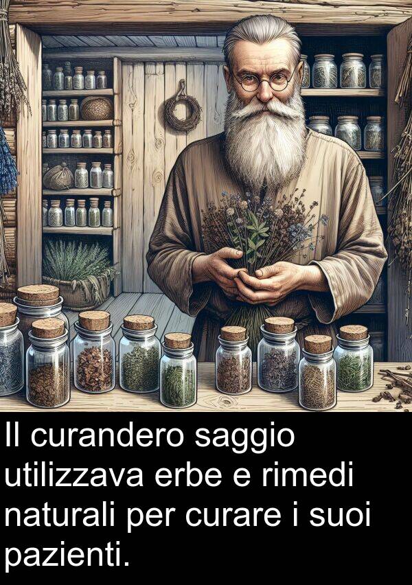saggio: Il curandero saggio utilizzava erbe e rimedi naturali per curare i suoi pazienti.