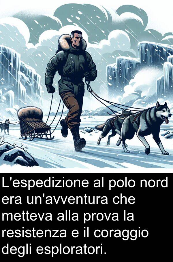 nord: L'espedizione al polo nord era un'avventura che metteva alla prova la resistenza e il coraggio degli esploratori.