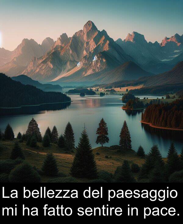 bellezza: La bellezza del paesaggio mi ha fatto sentire in pace.
