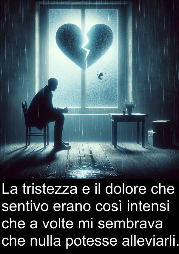 sentivo: La tristezza e il dolore che sentivo erano così intensi che a volte mi sembrava che nulla potesse alleviarli.