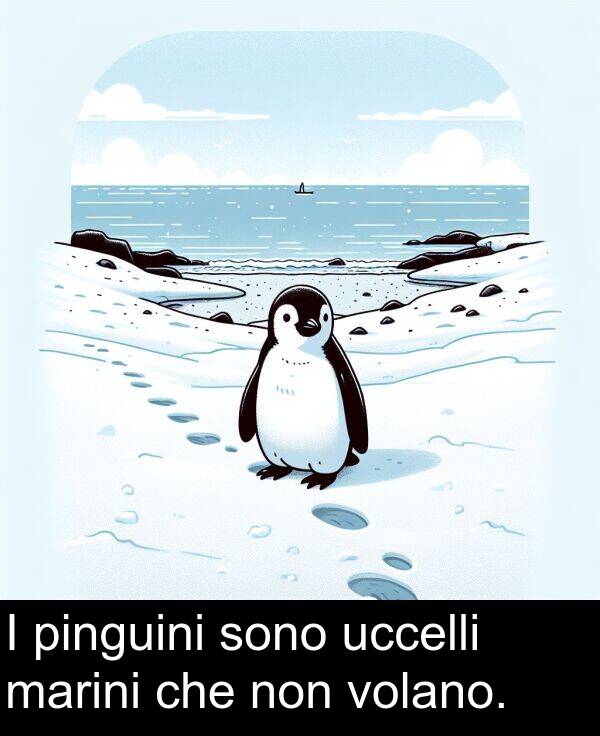 non: I pinguini sono uccelli marini che non volano.