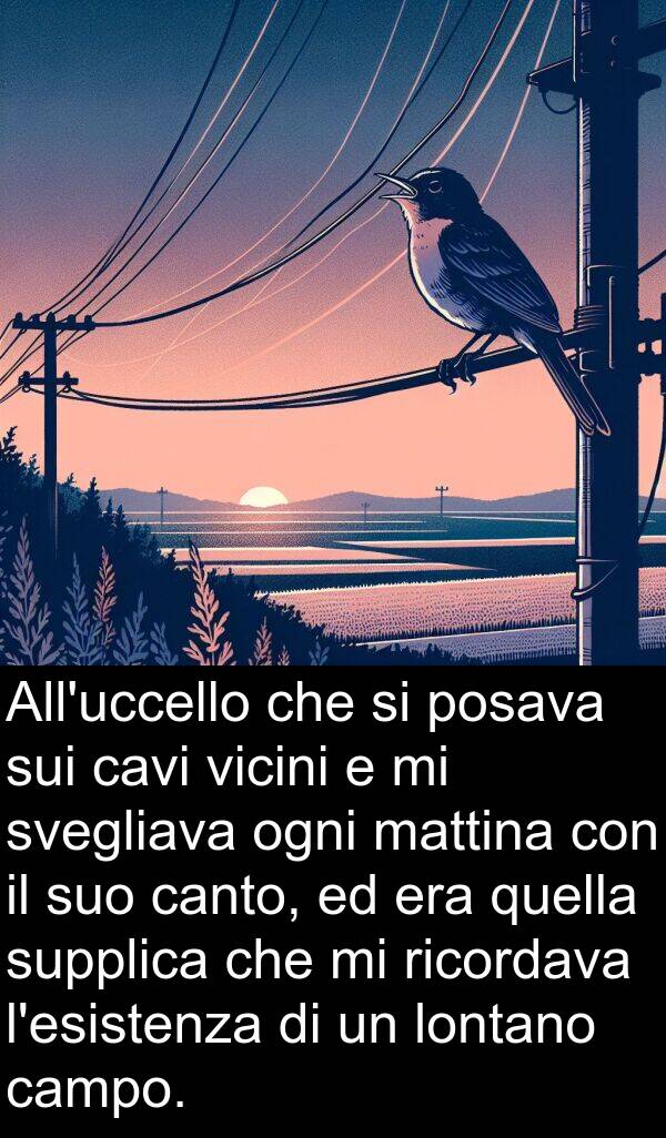 quella: All'uccello che si posava sui cavi vicini e mi svegliava ogni mattina con il suo canto, ed era quella supplica che mi ricordava l'esistenza di un lontano campo.