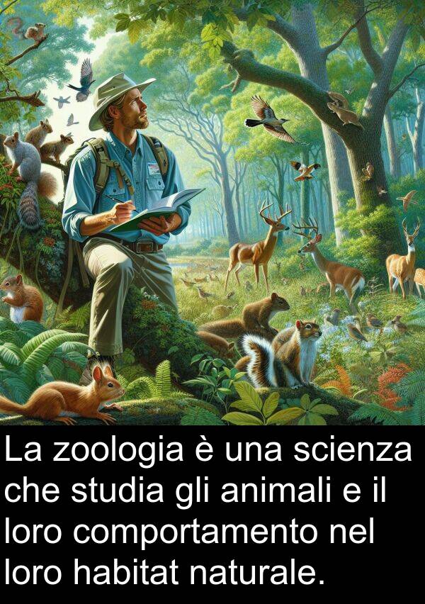 studia: La zoologia è una scienza che studia gli animali e il loro comportamento nel loro habitat naturale.