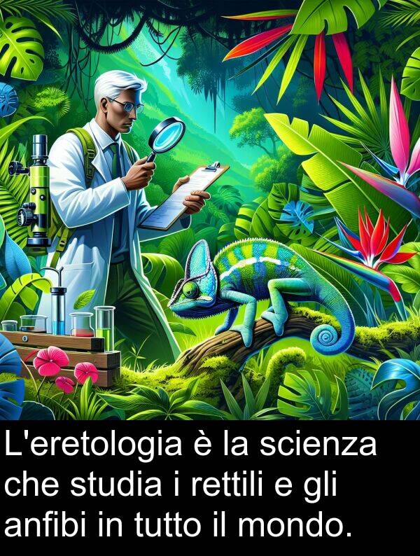 studia: L'eretologia è la scienza che studia i rettili e gli anfibi in tutto il mondo.