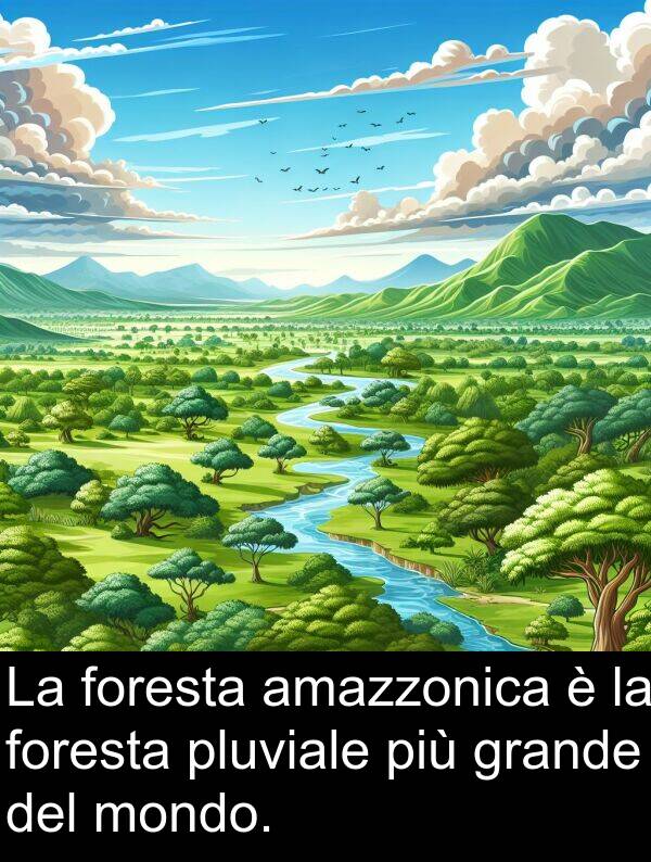 amazzonica: La foresta amazzonica è la foresta pluviale più grande del mondo.
