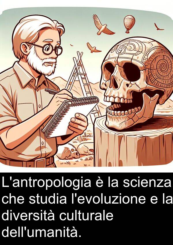 studia: L'antropologia è la scienza che studia l'evoluzione e la diversità culturale dell'umanità.