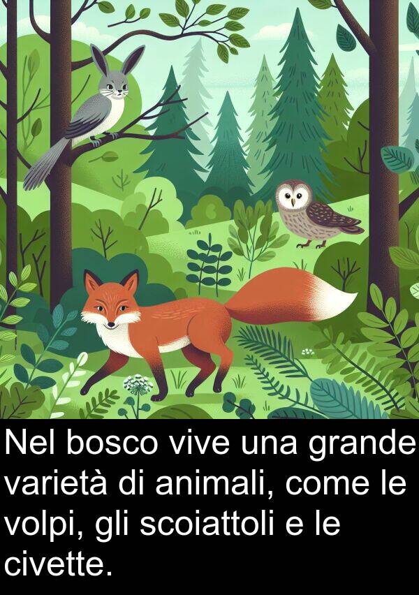 varietà: Nel bosco vive una grande varietà di animali, come le volpi, gli scoiattoli e le civette.