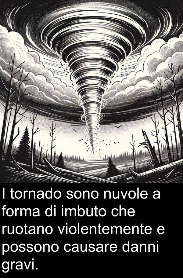 imbuto: I tornado sono nuvole a forma di imbuto che ruotano violentemente e possono causare danni gravi.